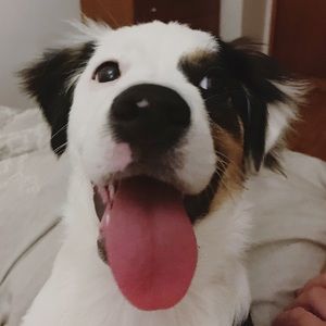 Reasonable offers welcome!